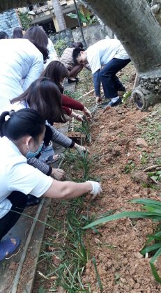 Bệnh viện Y Dược cổ truyền tỉnh hưởng ứng Tết trổng cây Xuân Tân Sửu 2021